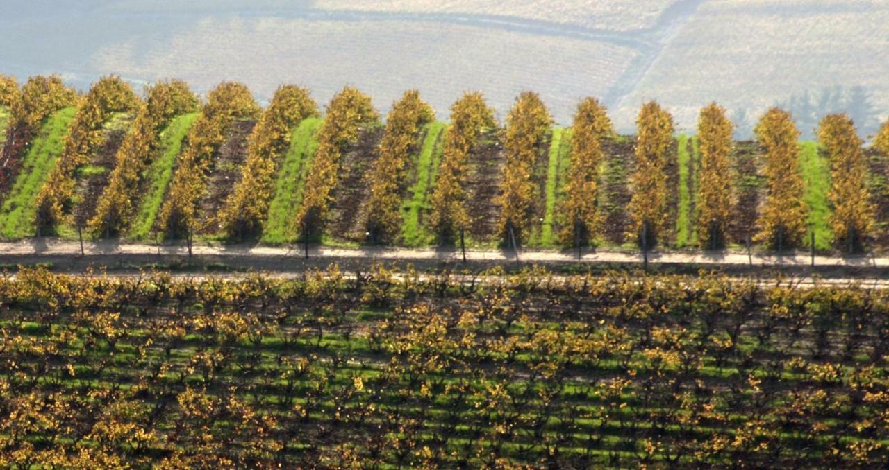 Apartmán Mooiplaas Wine Estate Stellenbosch Exteriér fotografie