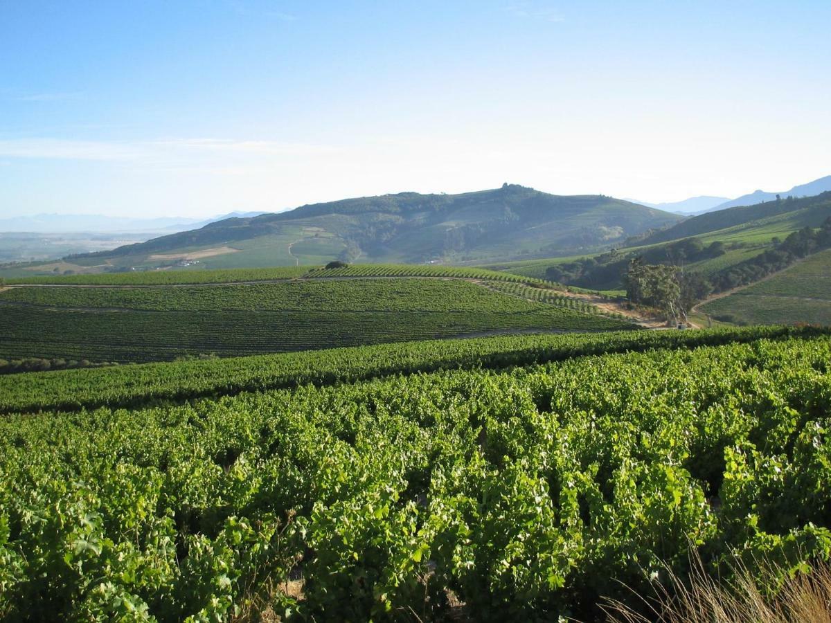 Apartmán Mooiplaas Wine Estate Stellenbosch Exteriér fotografie