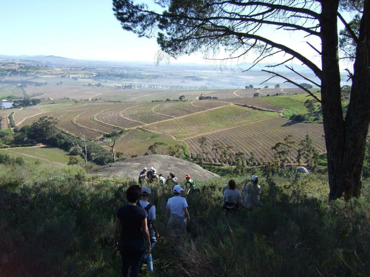 Apartmán Mooiplaas Wine Estate Stellenbosch Exteriér fotografie